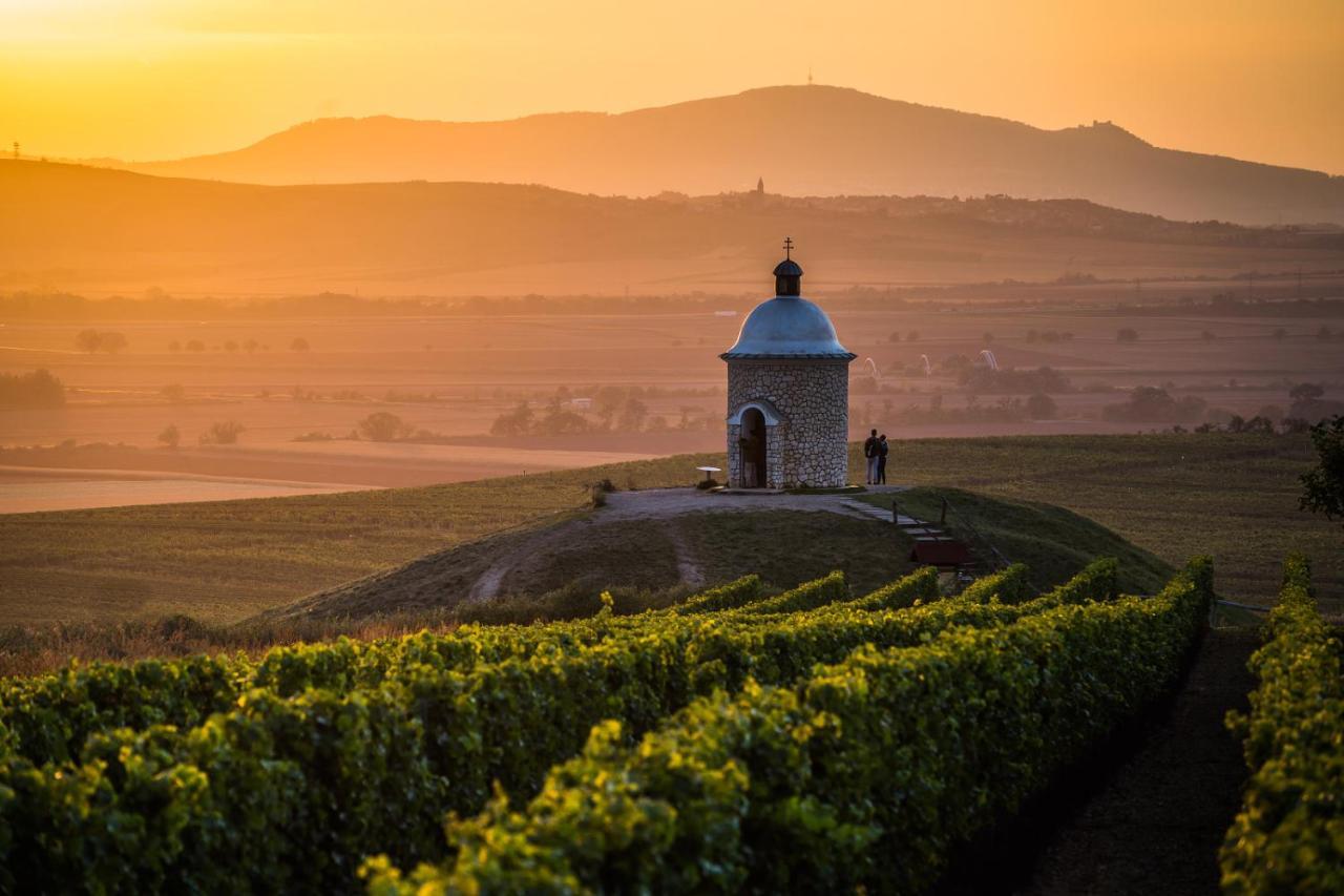 Vinný sklep Vinoza Velké Bílovice Exterior foto