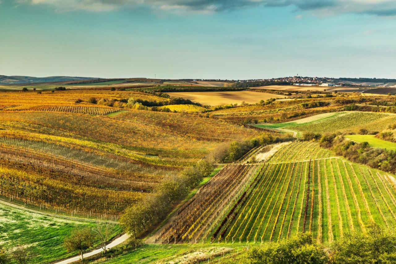 Vinný sklep Vinoza Velké Bílovice Exterior foto