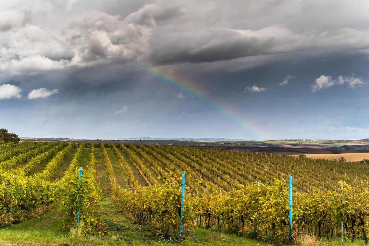 Vinný sklep Vinoza Velké Bílovice Exterior foto