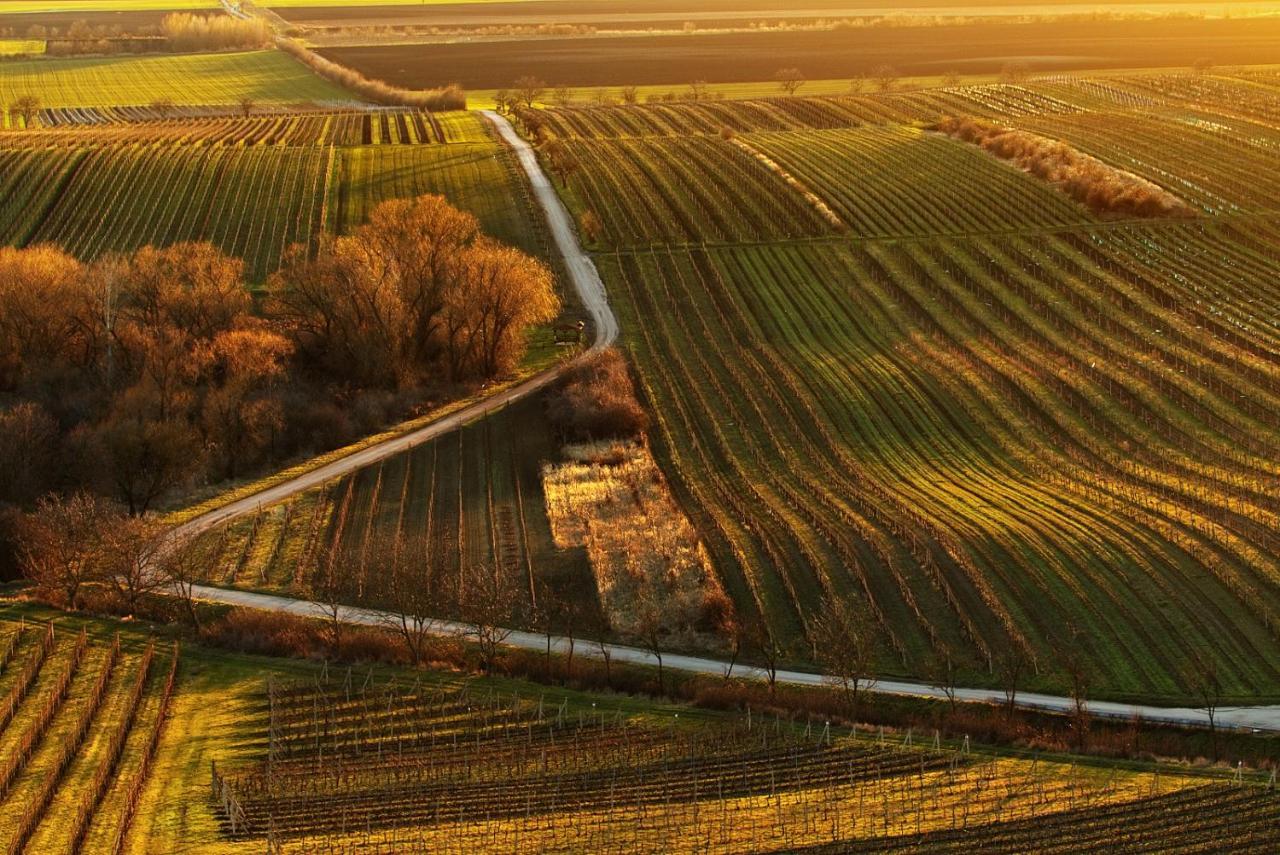 Vinný sklep Vinoza Velké Bílovice Exterior foto