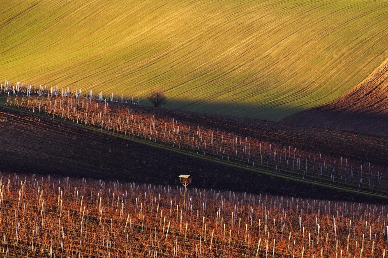 Vinný sklep Vinoza Velké Bílovice Exterior foto