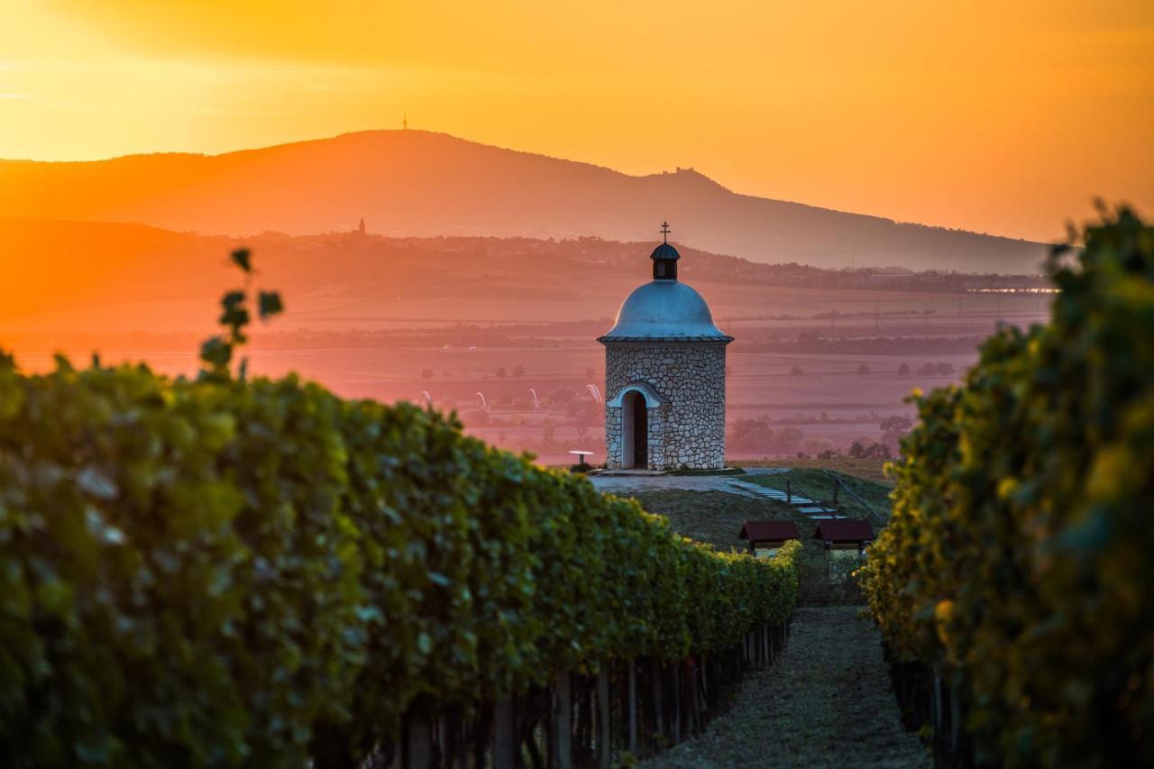Vinný sklep Vinoza Velké Bílovice Exterior foto